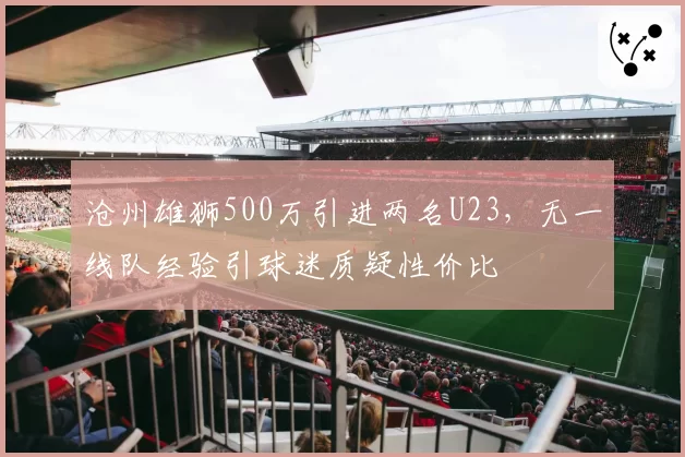 沧州雄狮500万引进两名U23,无一线队经验引球迷质疑性价比
