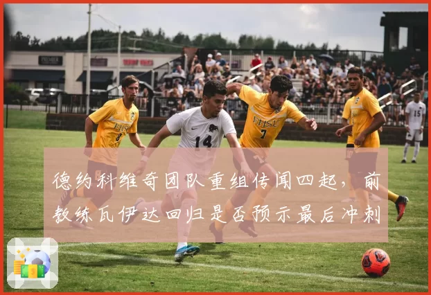 德约科维奇团队重组传闻四起，前教练瓦伊达回归是否预示最后冲刺？