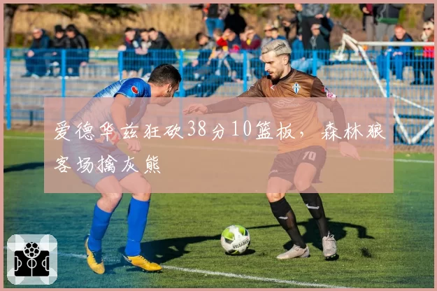 爱德华兹狂砍38分10篮板，森林狼客场擒灰熊
